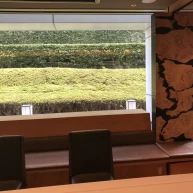 披露宴会場の奥は、一面緑が見える窓。