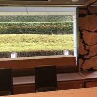披露宴会場の奥は、一面緑が見える窓。