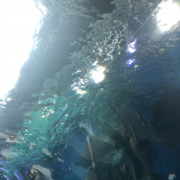 水族館