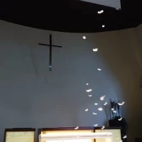 羽根が舞います。とても素敵です。