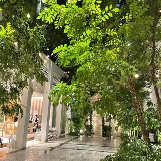 中庭