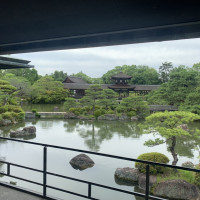 お庭、池の遊泳は禁止