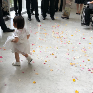 フラワーシャワー|589889さんのKIOKUNOMORI （記憶の森）の写真(1236292)