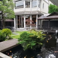 中庭の池には鯉が泳いでます