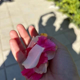 フラワーシャワー