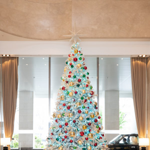入口のクリスマスツリー|590105さんのシェラトン都ホテル大阪の写真(1875426)