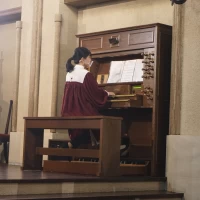生演奏。