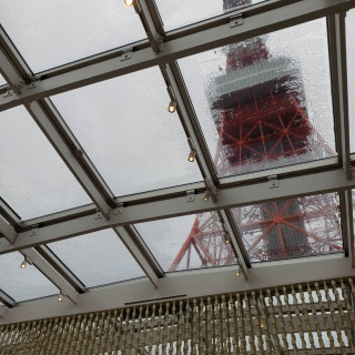 雨だとタワーはこんな感じに映ります。