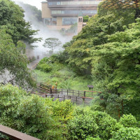 雲海の見える庭