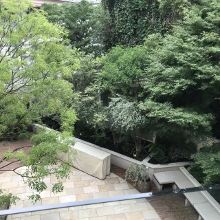披露宴会場から見える景色