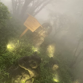 雲海の中の庭園