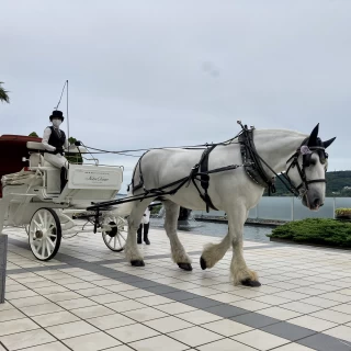 馬車