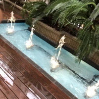 披露宴会場から見える噴水