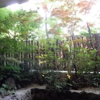 秋には紅葉する