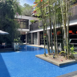 中庭
