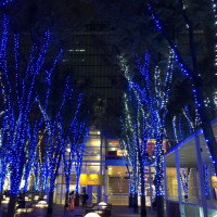 駅近なので…11月は外はもう綺麗なXmasイルミネーション☆