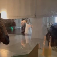 段幕が上がり、ガーデンスペースを一望できます。