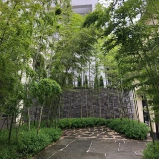 入り口は竹林で厳かな雰囲気です