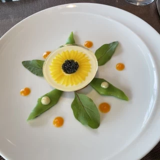 めっちゃ綺麗なひまわり