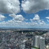 会場からの名古屋の景色です。