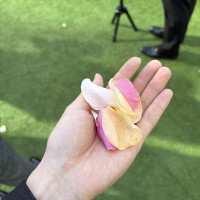 フラワーシャワー