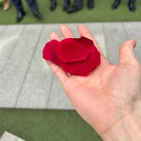 フラワーシャワー