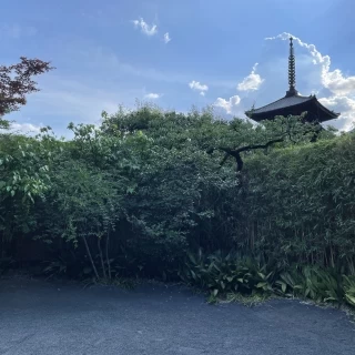 庭からの景色
