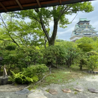 お茶室からの景色です。