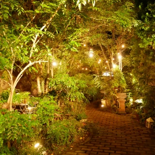 夜はライトアップされるため綺麗です。