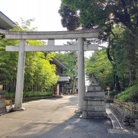 歴史ある神社ならではのパワースポットです。