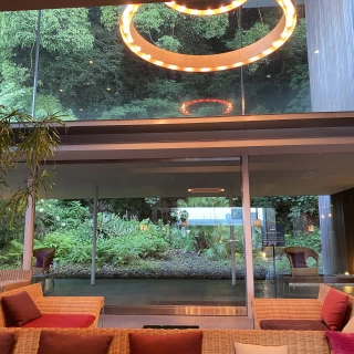 天井のライトと緑がみえて素敵でした。