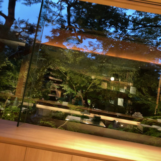 庭が見える