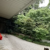 庭も綺麗でした