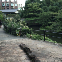 庭園が広がっており開放感がありました。