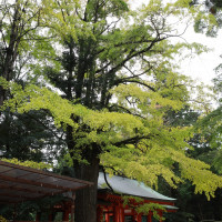 香取神宮の様子