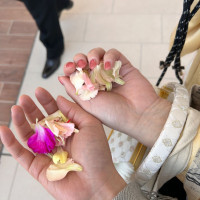 フラワーシャワーのお花