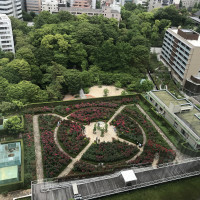 バラ園を上から見下ろした写真。前撮り利用も多いそうです。