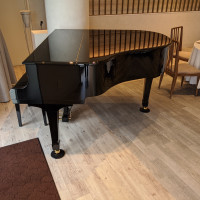 グランドピアノが追加料金なしで使用可能。