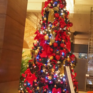 クリスマス前なのでロビーにツリーがありました。|593719さんのANAクラウンプラザホテル広島の写真(1696063)