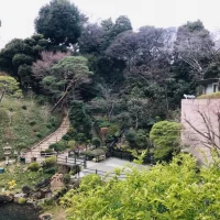 きれいな景色