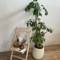 インテリアがとてもかわいい！
