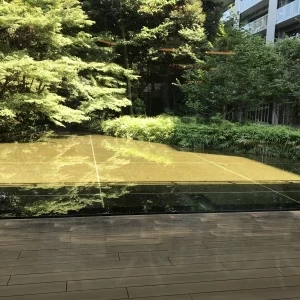 披露宴会場から撮った池の写真です。|594273さんの東郷神社・ルアール東郷の写真(1293421)