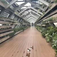緑に包まれた会場です。