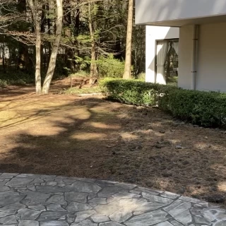チャペルへ向かう外の風景