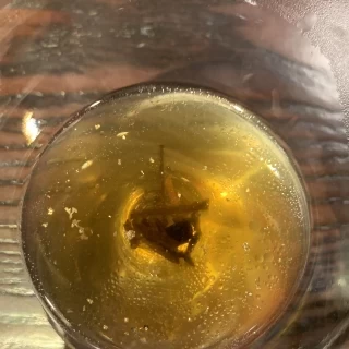 試食のコンソメスープ（トリュフと金箔入り）