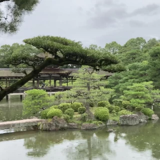 披露宴会場から見えるお庭