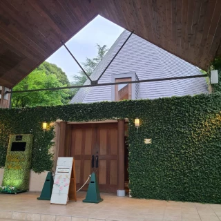 壁の植物は本物の植物のようです