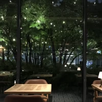 夜の外が本当に綺麗でした！
