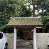 入口