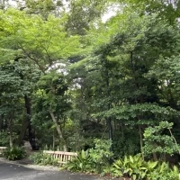 外